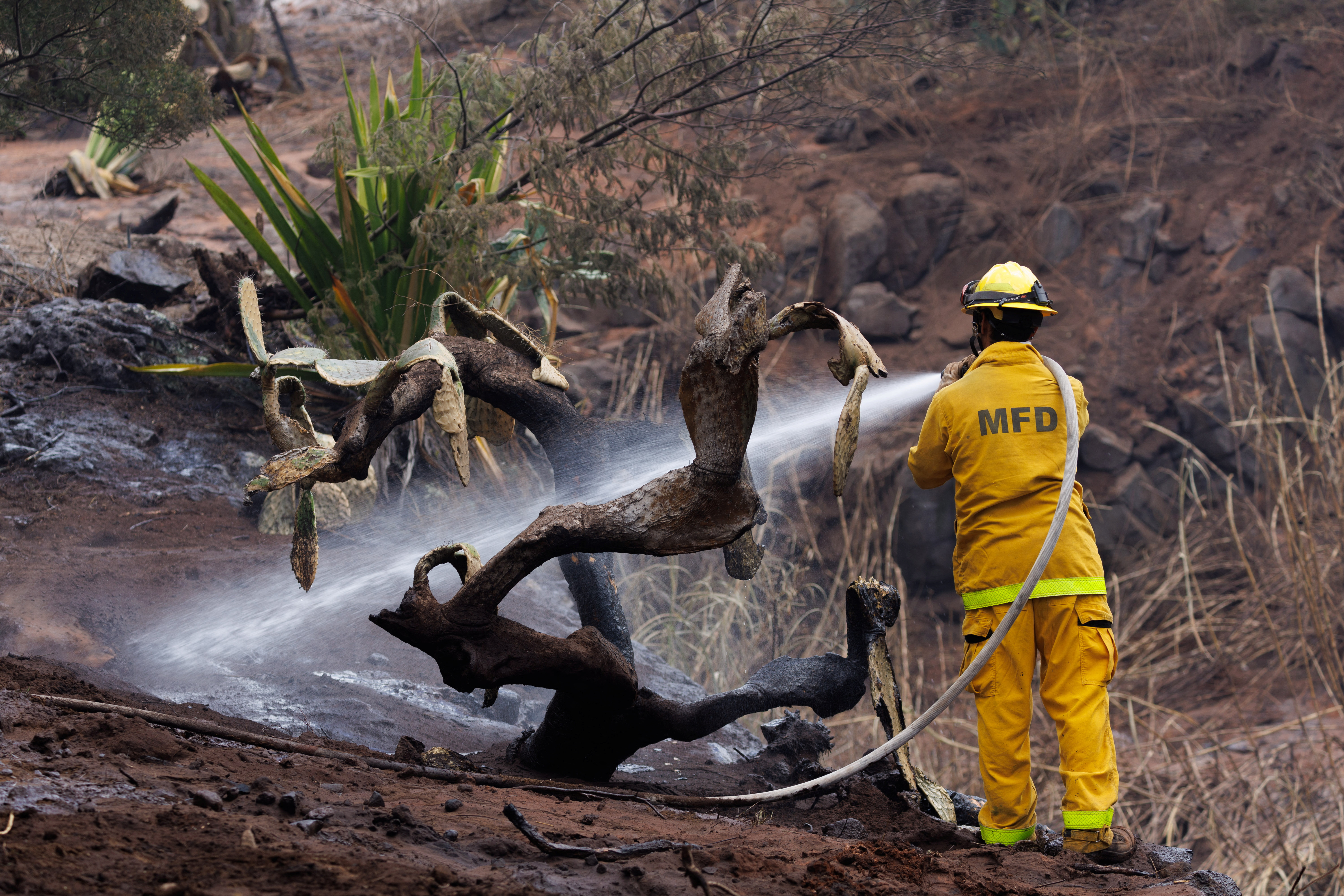A Maui County firefighter fights flare-up fires in a canyon in Kula on Maui island, Hawaii, U.S., August 13, 2023. REUTERS/Mike Blake