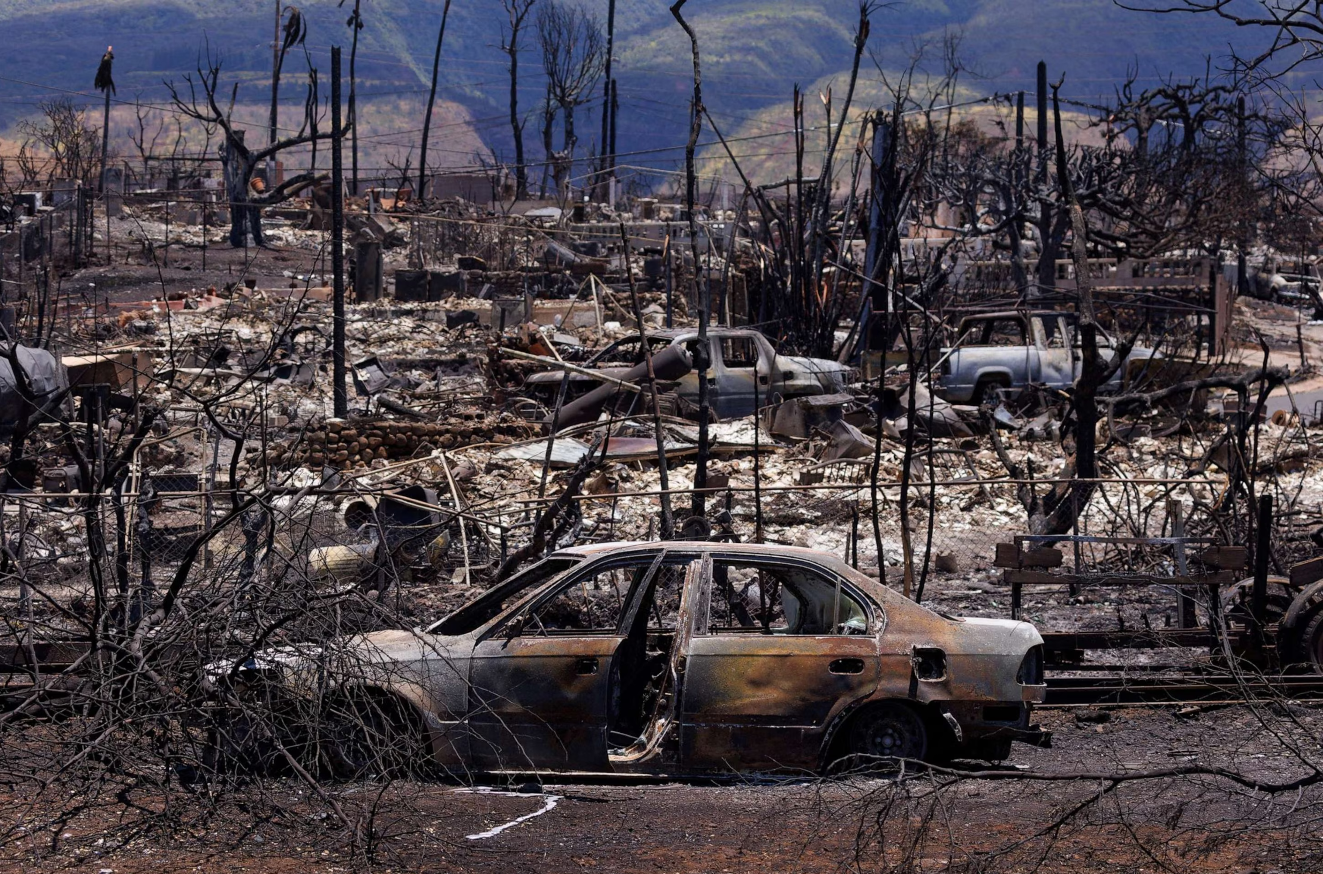 Fire damage is shown in the Wahikuli Terrace neighborhood in the fire ravaged town of Lahaina on the island of Maui in Hawaii, Aug. 15, 2023. REUTERS