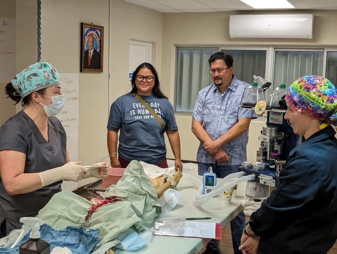 Ed Propst in the animal shelter/clinic of SHS.